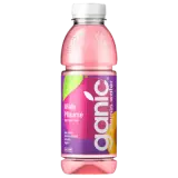 Ganic Vitamin Water Wilde Pflaume 0,5l