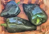 Acı Çarli Biber 1 kg