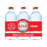 Hayat Su 1 L