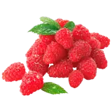 Himbeeren 125g