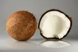 Hindistan Cevizi 1 Adet