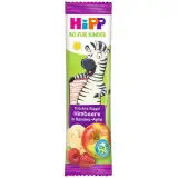 Hipp Organik Ahududu Elma Muz Meyve Barı 23 g