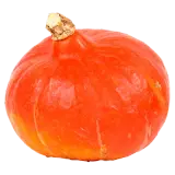 Hokkaido-Kürbis ca. 1400g
