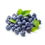 İthal Yaban Mersini Blueberry 125 g