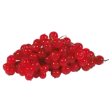 Johannisbeeren rot 125g