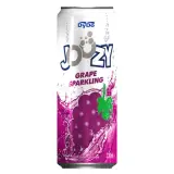 Joozy Üzüm Aromalı 330 ml