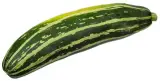 Kabak Diğer 1 kg