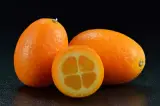 Kamkat 1 kg