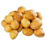 Kartoffeln früh festkochend ca. 100g
