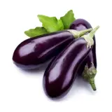 Kemer Patlıcan 1 kg