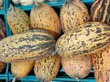 Kırkağaç Kavun 1 kg