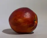 Kırmızı Nektarin 1 kg