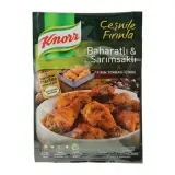 Knorr Fırında Tavuk Çeşnisi Baharat ve Sarımsak 34 g