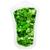 Koriander 25g