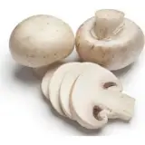 Kültür Mantarı 400 g