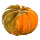 Kürbis Mini Muscade ca. 500g