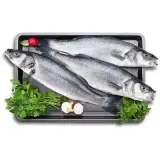Levrek 600- 700 g
