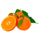 Mandarine Blatt 750g