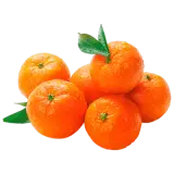 Mandarinen 1kg im Netz