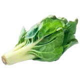 Mangold ca. 500g