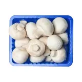 Mantar Tabak 300 g