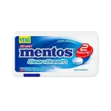 Mentos Nane Aromalı Draje Sakız 30 g