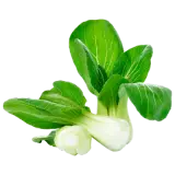 Mini Pak Choi 300g