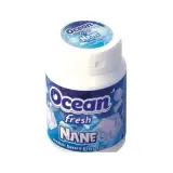 Ocean Fresh Nane Aromalı Draje Sakız 60 g