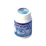 Ocean Fresh Nane Aromalı Sakız 60 g