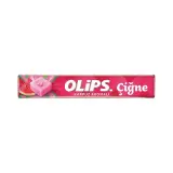 Olips Çiğneme Karpuz Aromalı Şeker 47 g