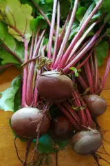 Pancar 1 kg