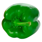Paprika grün ca. 300g