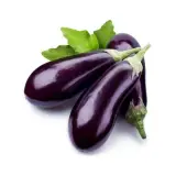 Patlıcan 1 kg