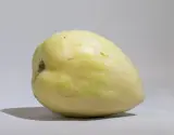 Pepino 1 Adet
