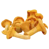 Pfifferlinge frisch 200g