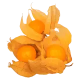 Physalis 100g