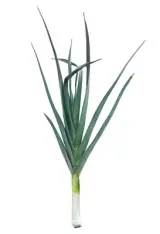 Pırasa 1 kg