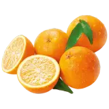 Bio Orangen 1kg