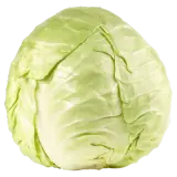 Bio Weißkohl 2kg