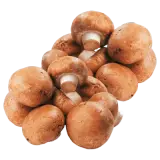 REWE Bio Champignons braun 250g