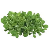 REWE Bio Feldsalat 100g