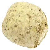 REWE Bio Knollensellerie ca. 1,2kg