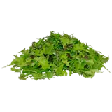 REWE Bio Salat Crispy Mix 100g