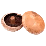 REWE Feine Welt Portobello Pilze 200g