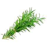 Rosmarin 15g