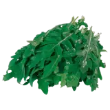 Rucola 125g