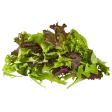 Salat Wildkräuter 125g