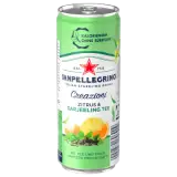 San Pellegrino Creazioni Zitrus & Darjeeling Tee 0,33l