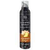 Scavi & Ray Olivenölspray Ingwer 200ml