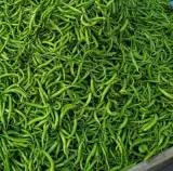 Şili Biber Yeşil 1 kg